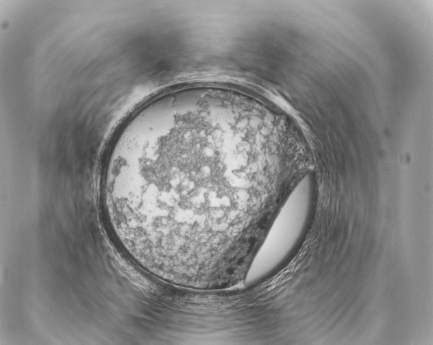 X0000087021416200705141845