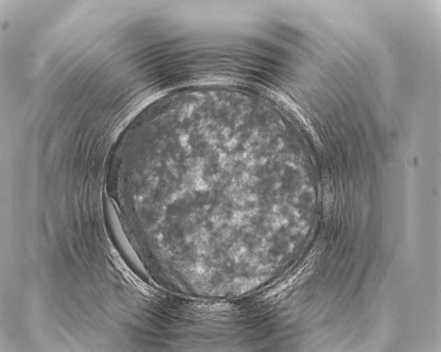 X0000087021417200705141845