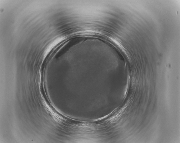 X0000087021418200705141845