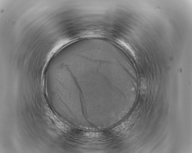 X0000087021419200705141845