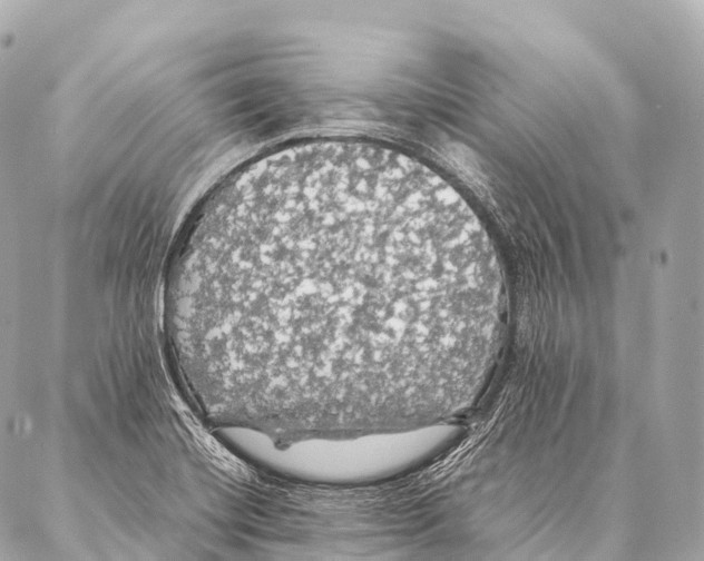 X0000087021420200705141845