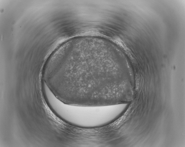 X0000087021422200705141845