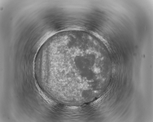 X0000087021423200705141845