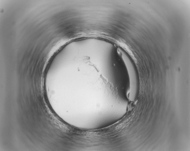 X0000087021424200705141845