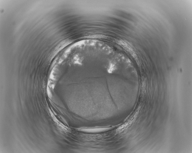 X0000087021425200705141845