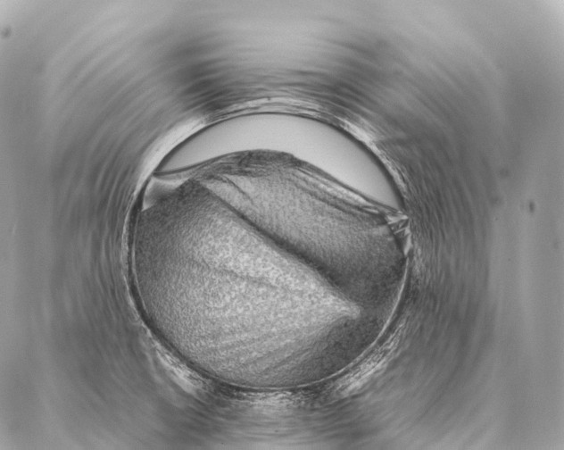 X0000087021426200705141845