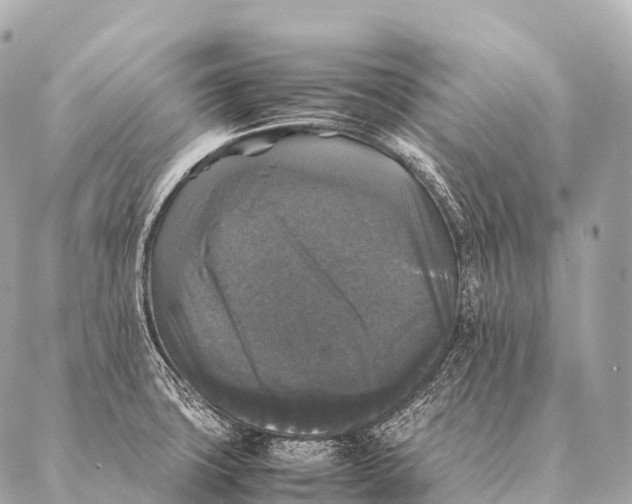 X0000087021427200705141845