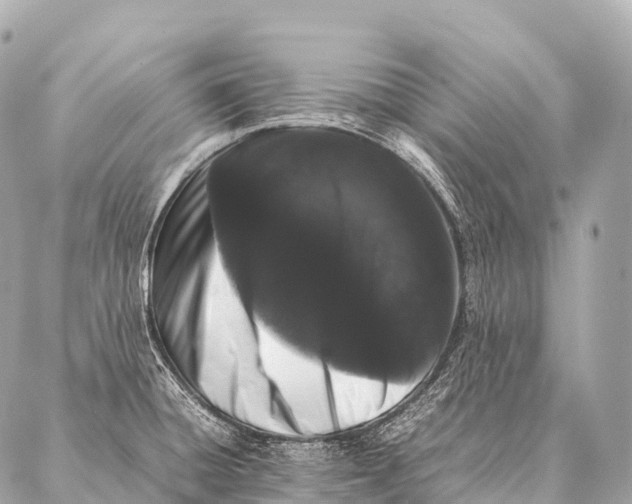 X0000087021428200705141845