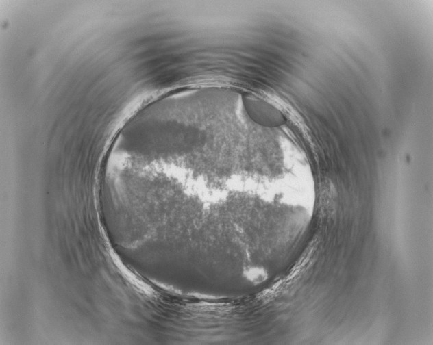 X0000087021429200705141845