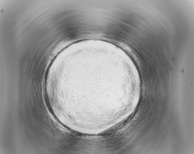 X0000087021432200705141845