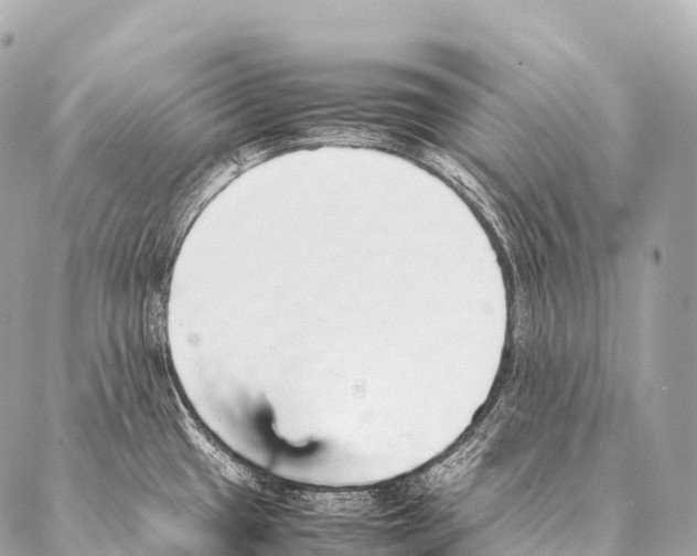 X0000087021433200705141845