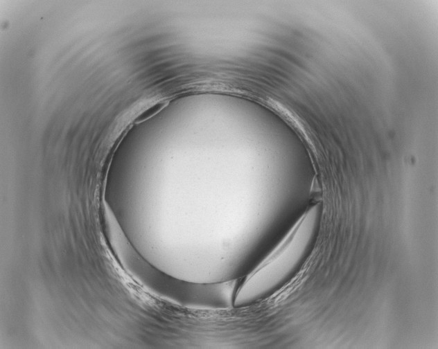 X0000087021434200705141845