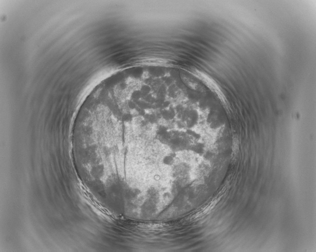 X0000087021435200705141845