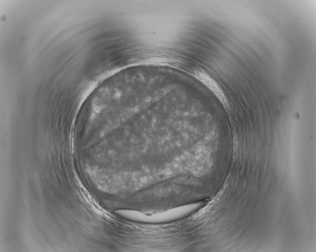 X0000087021436200705141845