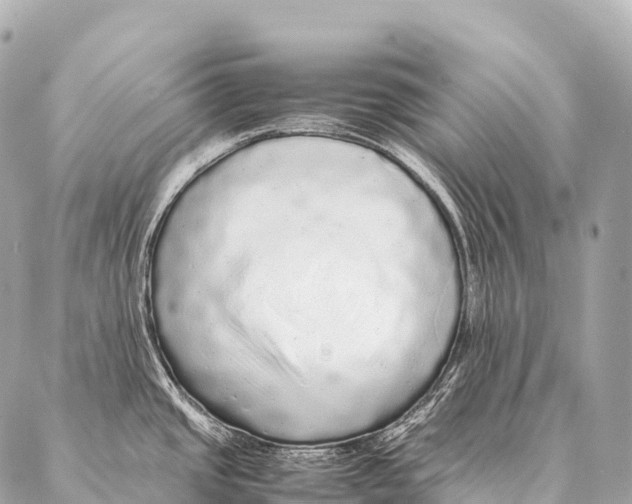 X0000087021437200705141845