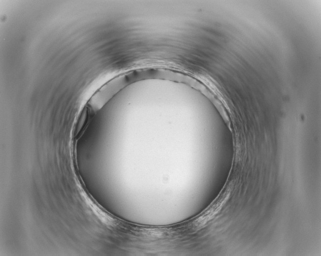 X0000087021438200705141845