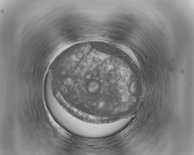 X0000087021439200705141845