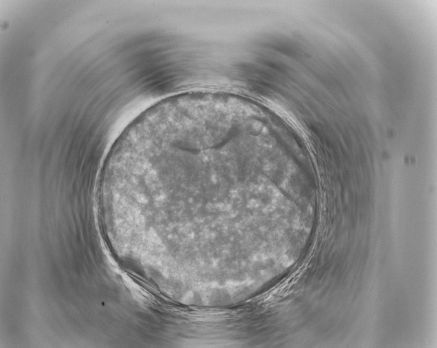 X0000087021440200705141845