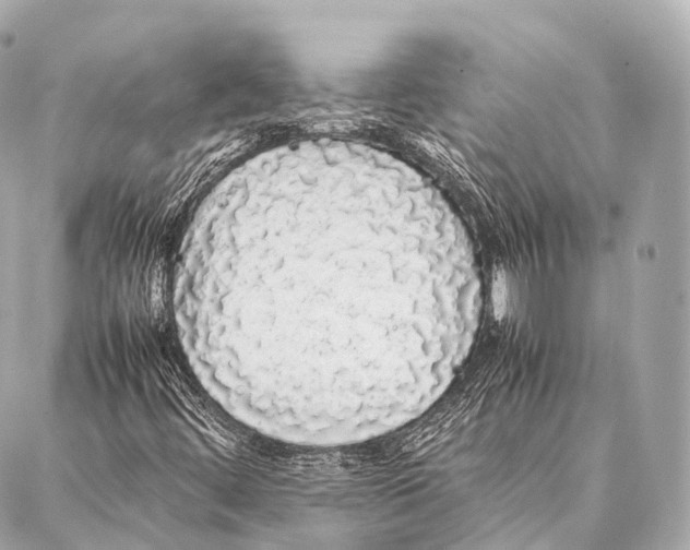 X0000087021444200705141844