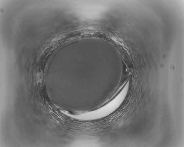 X0000087021445200705141844