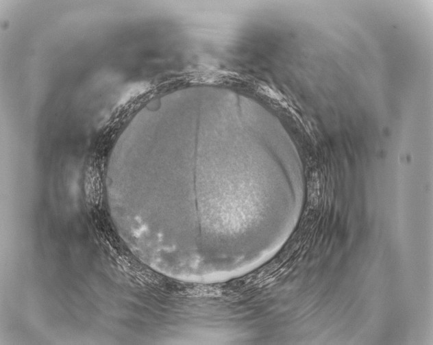 X0000087021446200705141844