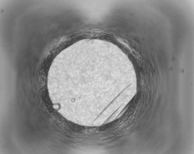 X0000087021447200705141844