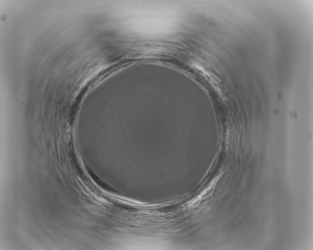 X0000087021449200705141844