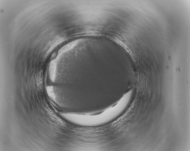 X0000087021450200705141844