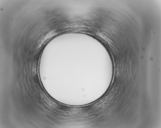 X0000087021451200705141844