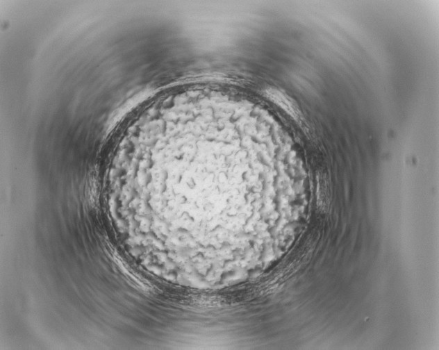 X0000087021452200705141844