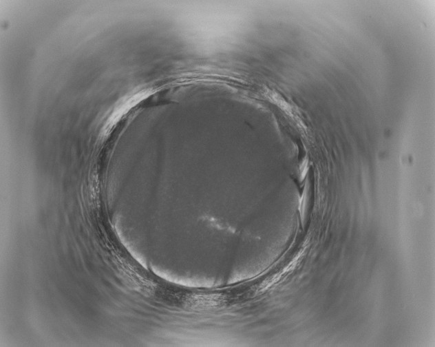 X0000087021453200705141844