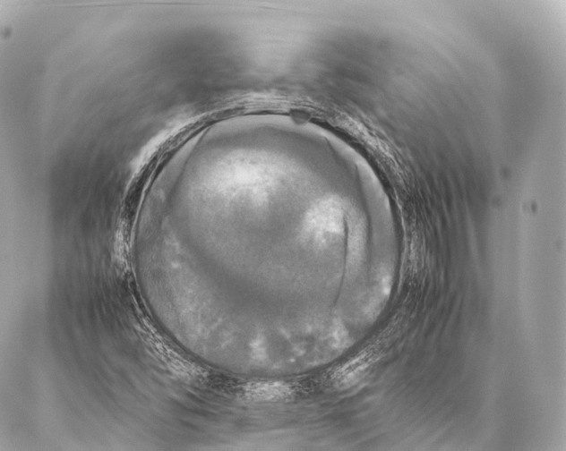 X0000087021454200705141844