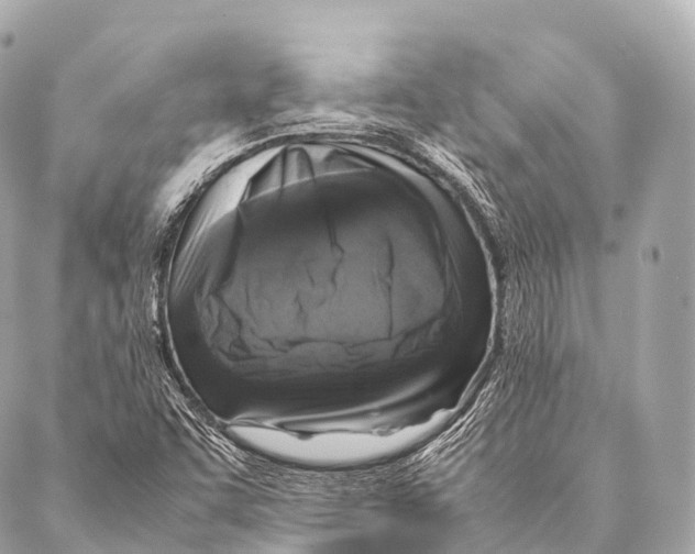 X0000087021455200705141844