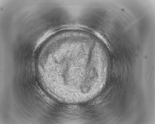 X0000087021456200705141844