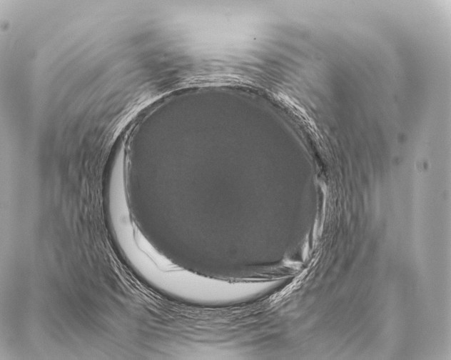 X0000087021457200705141844