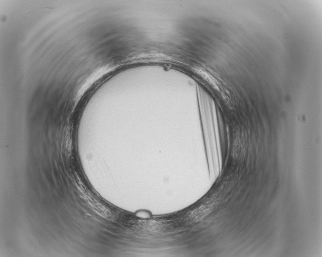 X0000087021458200705141844