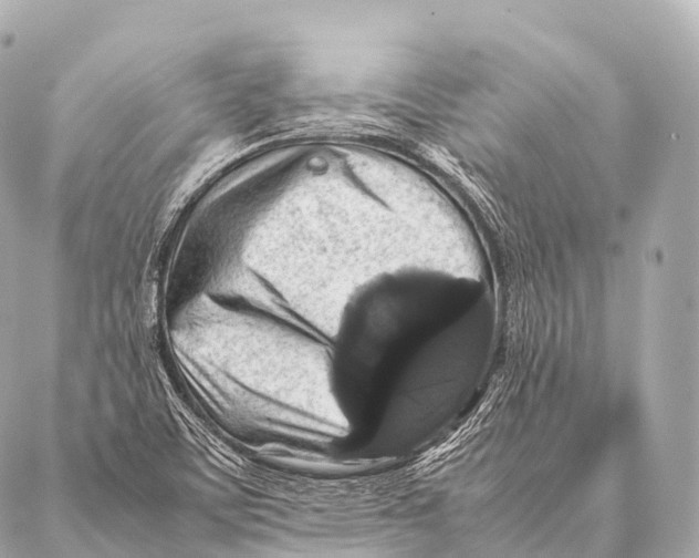 X0000087021459200705141844