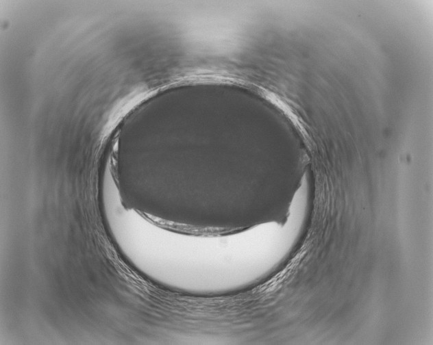 X0000087021461200705141844