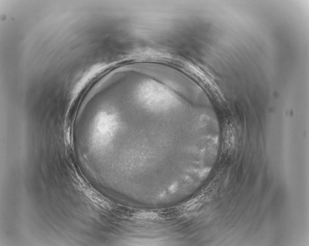 X0000087021462200705141844