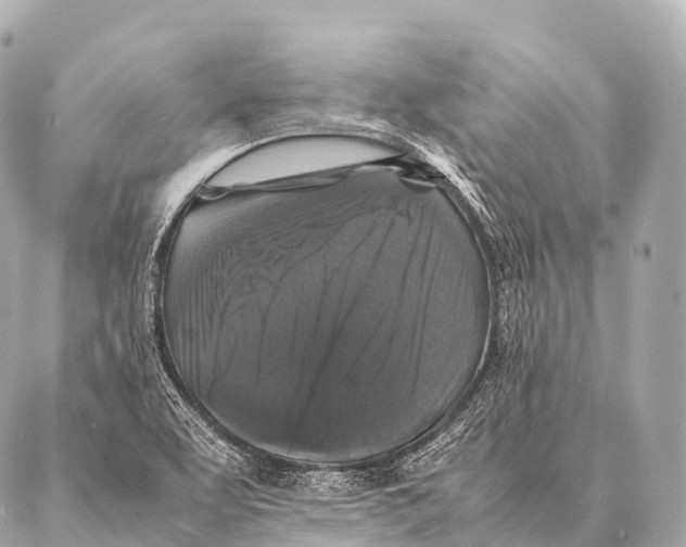 X0000087021463200705141844