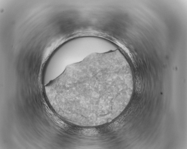 X0000087021464200705141844