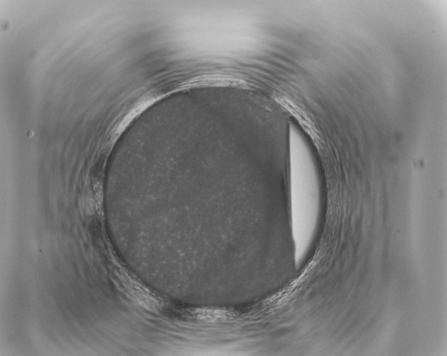 X0000087021465200705141844