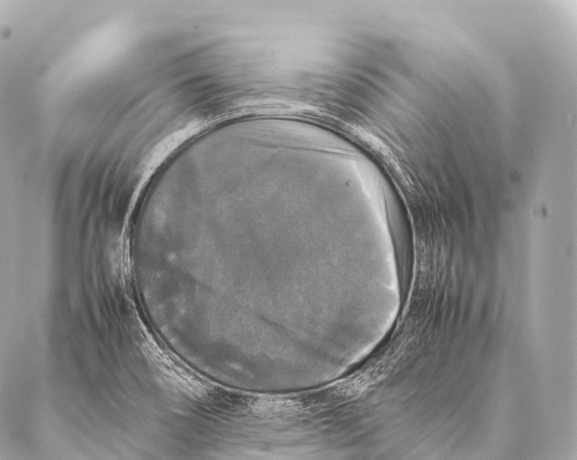 X0000087021466200705141844