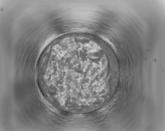 X0000087021467200705141844