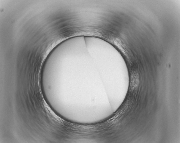 X0000087021468200705141844