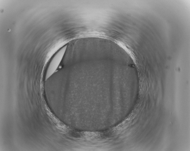 X0000087021469200705141844