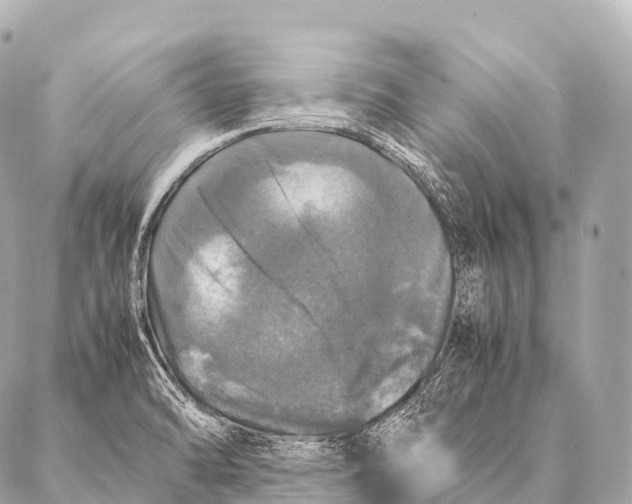 X0000087021470200705141844