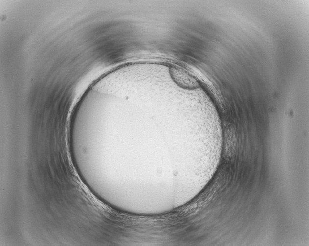 X0000087021472200705141844