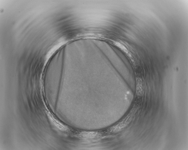 X0000087021474200705141844