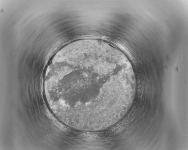 X0000087021476200705141844